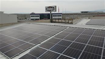 ALHATOĞLU ZEYTİNYAĞLARI